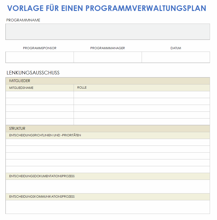 Programm-Governance-Plan