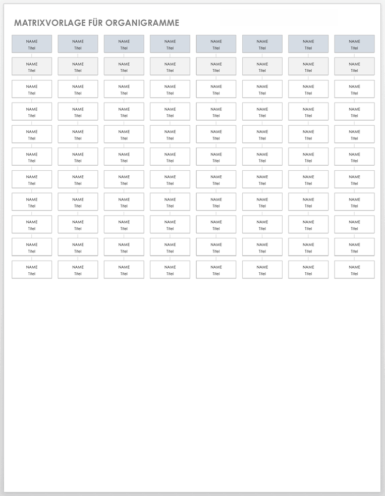 Organization Chart Matrix 49547 - DE